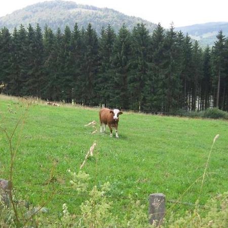 Kleine Auszeit Winterberg Apartman Kültér fotó