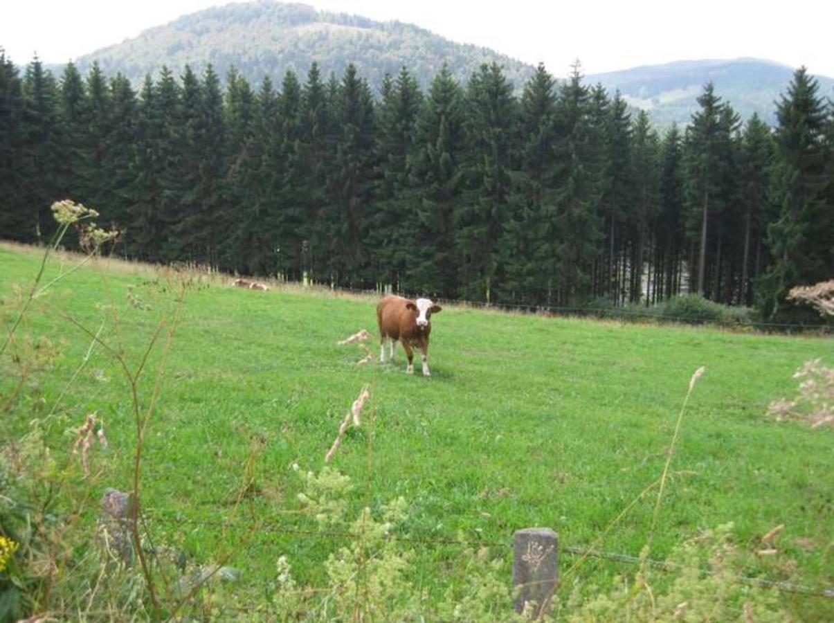 Kleine Auszeit Winterberg Apartman Kültér fotó